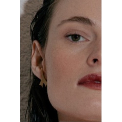 Arrow Tail Earrings